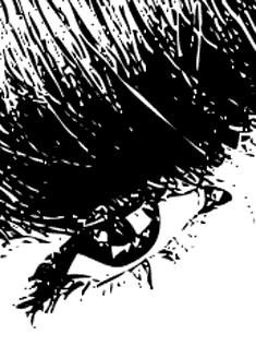 Detalle del dise&ntilde;o Stencil