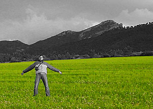 Detalle de la foto procesada