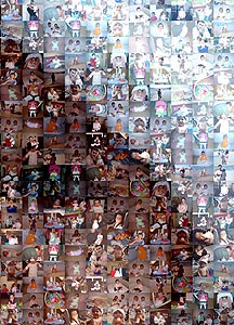 Detalle de la foto procesada