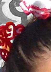 Detalle de la foto procesada