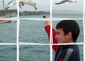 Detalle de la foto procesada