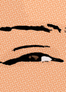 Detalle de la foto procesada