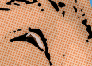 Detalle de la foto procesada