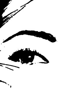 Detalle de la foto procesada