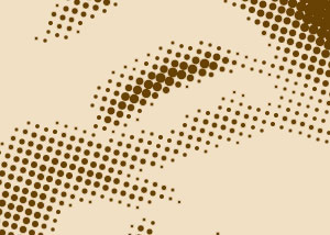 Detalle de la foto procesada