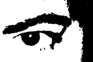 Detalle de la foto procesada