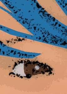 Detalle de la foto procesada