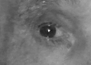 Detalle de la foto procesada