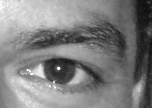 Detalle de la foto procesada