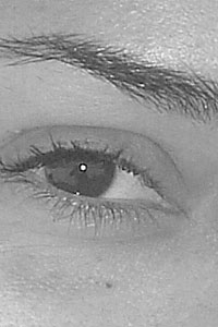 Detalle de la foto procesada