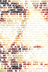 Detalle de la foto procesada