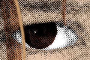 Detalle de la foto procesada