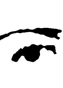 Detalle de la foto procesada