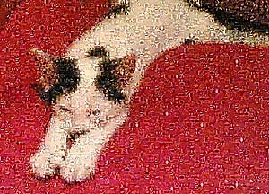 Regalo: Un  Impreso en papel brillo para alguien de sant boi de llobregat