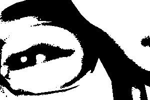 Detalle de la foto procesada