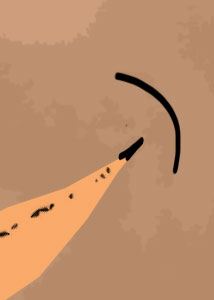 Detalle de la foto procesada