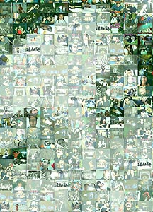 Detalle de la foto procesada