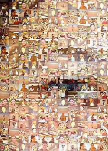 Detalle de la foto procesada