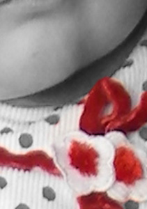 Detalle de la foto procesada