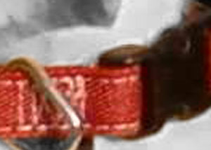 Detalle de la foto procesada