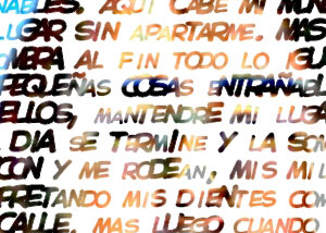 Detalle de la foto procesada