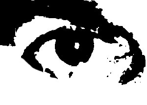 Detalle de la foto procesada