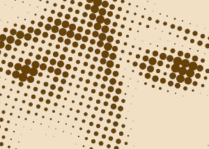 Detalle de la foto procesada