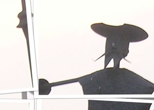 Detalle de la foto procesada