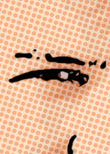 Detalle de la foto procesada