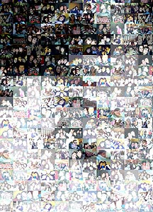 Detalle de la foto procesada