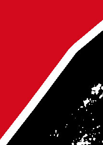 Detalle de la foto procesada