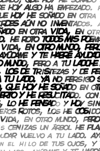 Detalle de la foto procesada