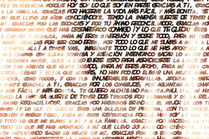 Detalle de la foto procesada