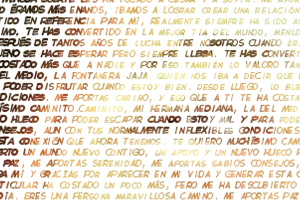 Detalle de la foto procesada