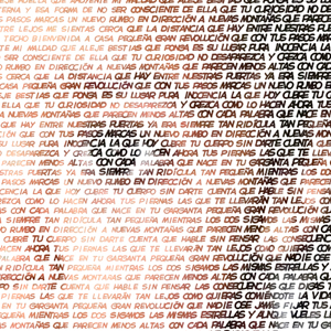 Detalle de la foto procesada