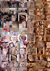 Detalle de la foto procesada