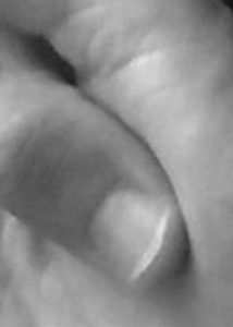 Detalle de la foto procesada