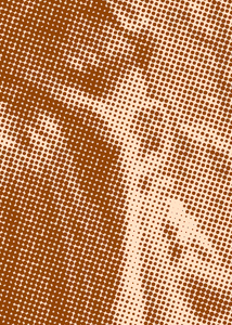 Detalle de la foto procesada