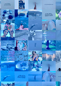 Detalle de la foto procesada