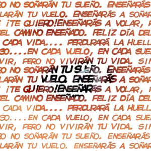 Detalle de la foto procesada