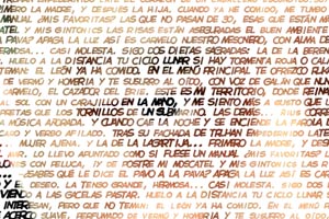 Detalle de la foto procesada