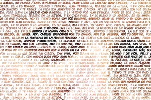 Detalle de la foto procesada