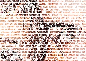 Detalle de la foto procesada