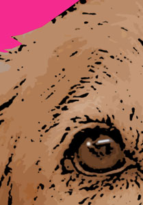 Detalle de la foto procesada