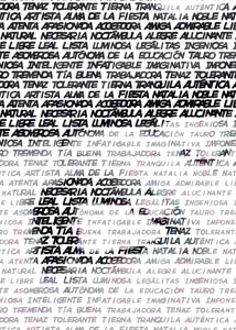 Detalle de la foto procesada