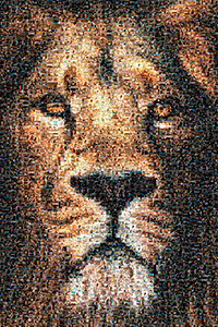 Regalo: Un  Impresión en PVC para alguien de Boadilla del Monte