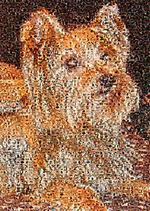 Regalo: Un  Impreso en un lienzo con un bastidor para alguien de Fraga