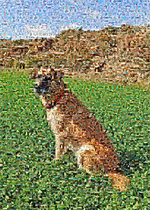 Regalo: Un  Impreso en un lienzo con un bastidor para alguien de SEGORBE