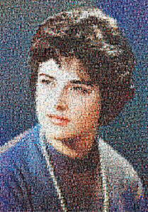 Regalo: Un  Impreso en un lienzo para alguien de Pedrezuela