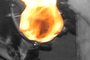 Detalle de la foto procesada